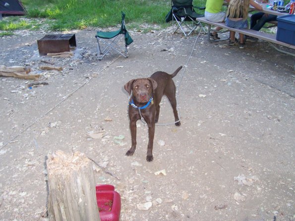 20060819_JoJoCamping