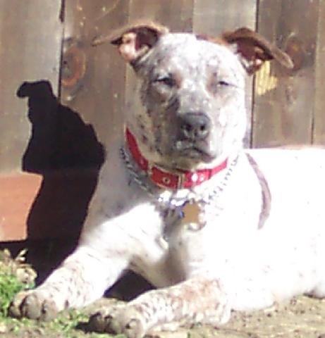 Speck_200612_28Small29